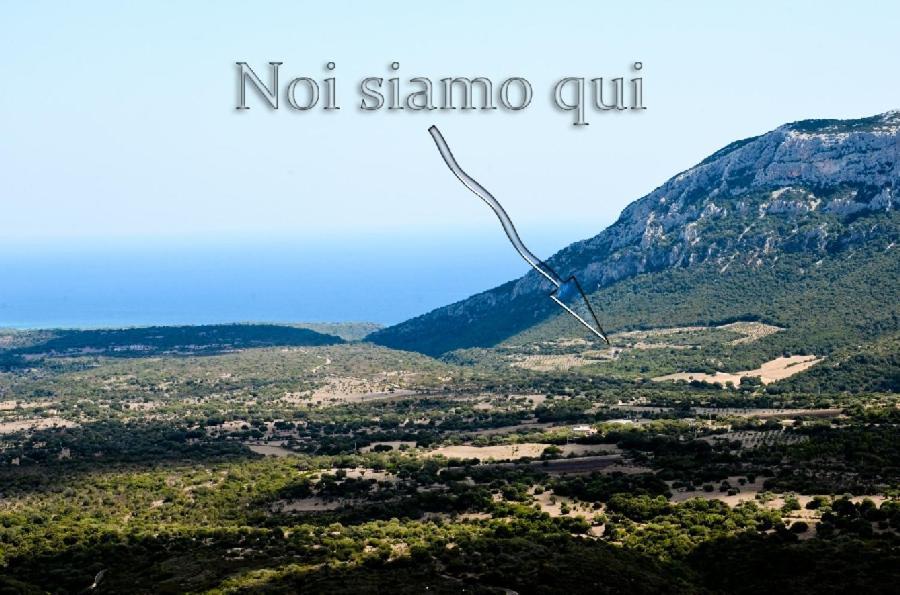 B&B Cala Cartoe Dorgali Bagian luar foto